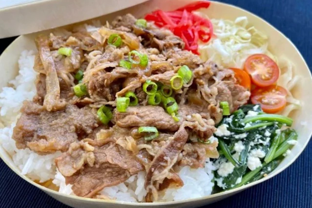 Japanese Donburi Rice Bowls & Bento Box